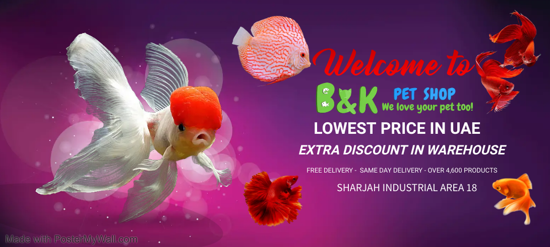 BK Pet Shop Online Shopping promo