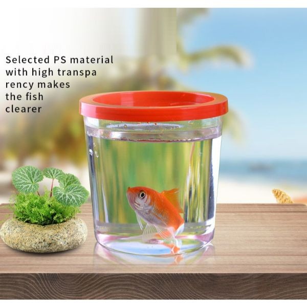 Betta Fish Bottle Box A52 A8 With Rope