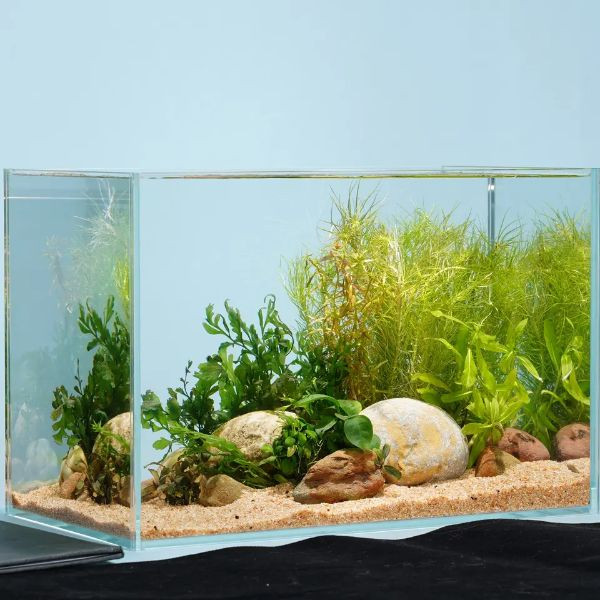 Ultra Clear Glass Fish Tank, Rimless Low Iron Aquarium