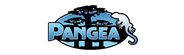 Pangea