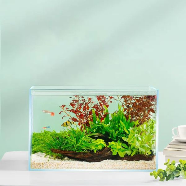 Ultra Clear Glass Fish Tank, Rimless Low Iron Aquarium