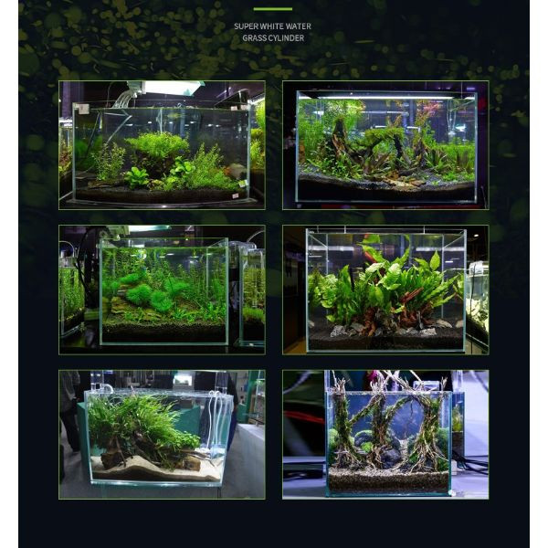 Ultra Clear Glass Fish Tank, Rimless Low Iron Aquarium