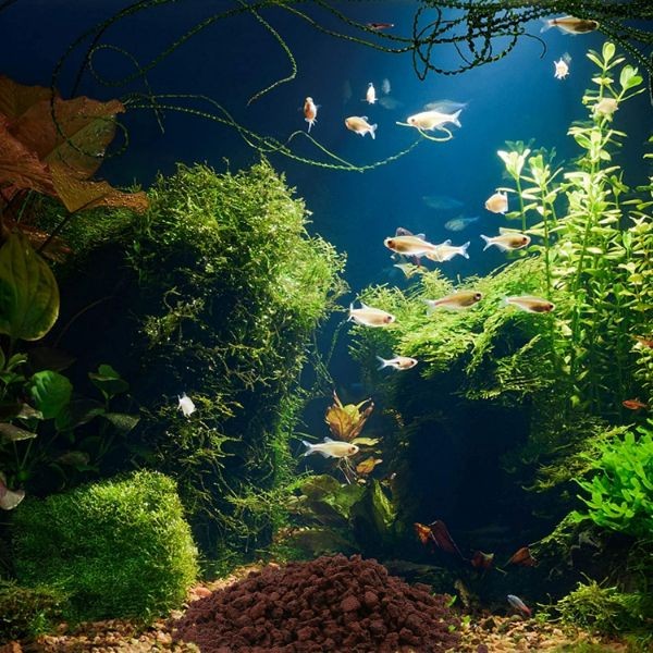 Aquarium River Rock Planted Substrate Red and Black Lava Stone