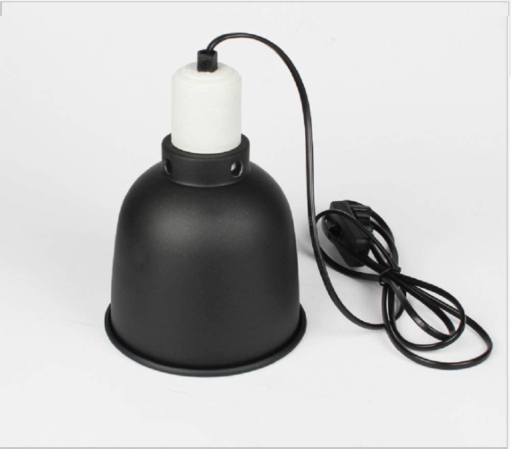 Lamp Holders & Timer