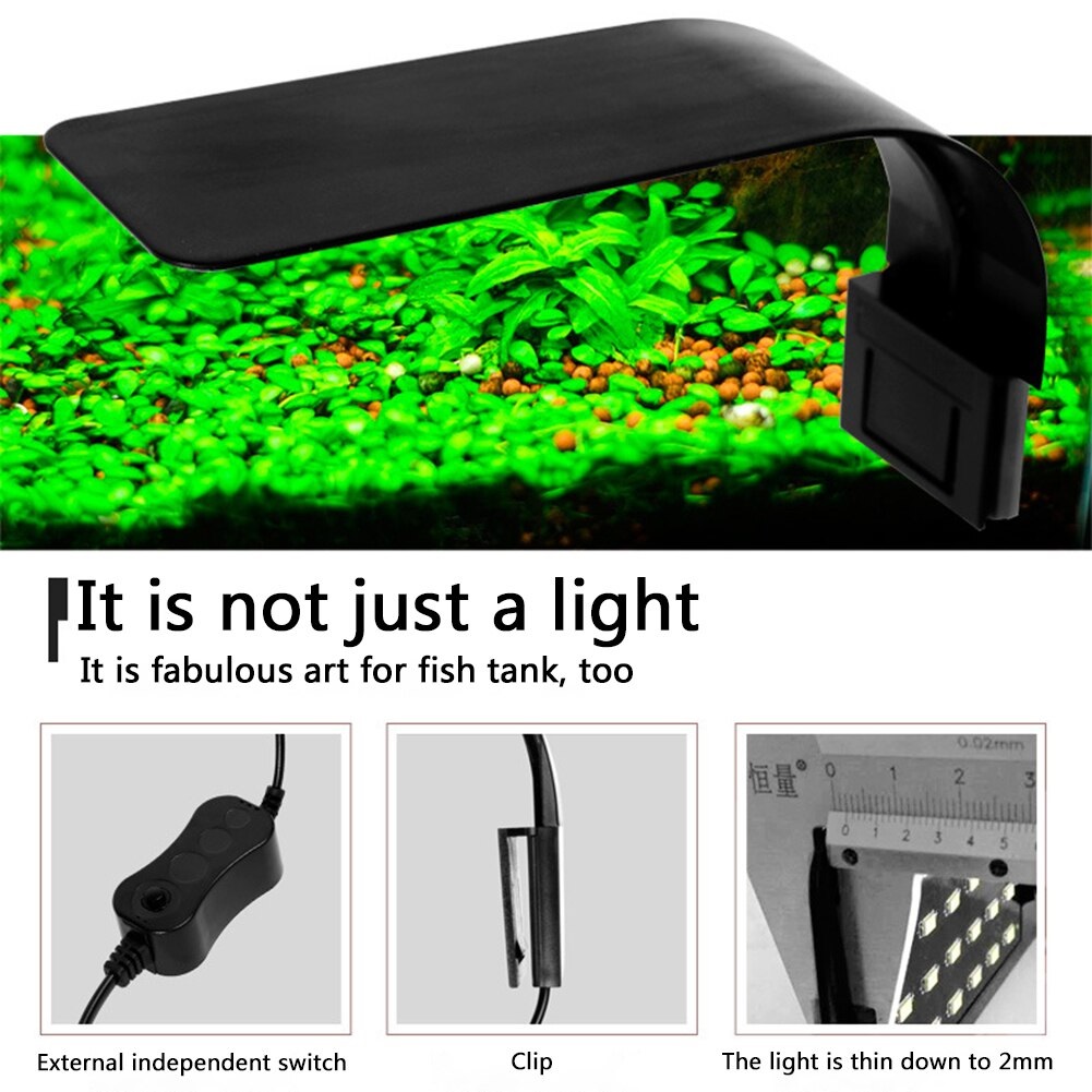 aquarium black light aquarium black light