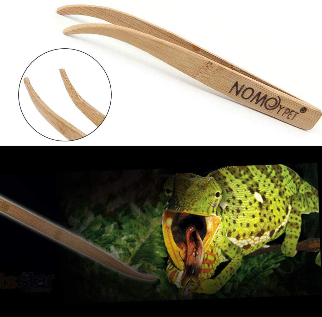 B&K Bamboo Wooden Angled Reptile Feeding Long Tongs Eco Friendly Feeder